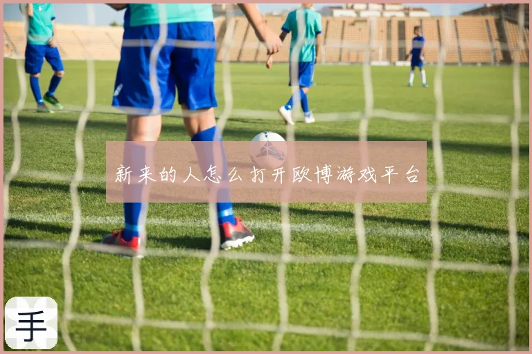 新来的人怎么打开欧博游戏平台